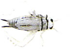 199987258.jpg