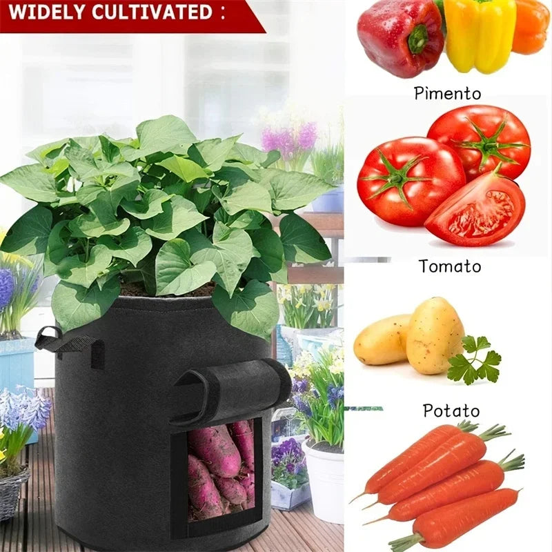 Fabric Plant Pots Grow Bags 5 7 10 Gallon Vegetable Planters