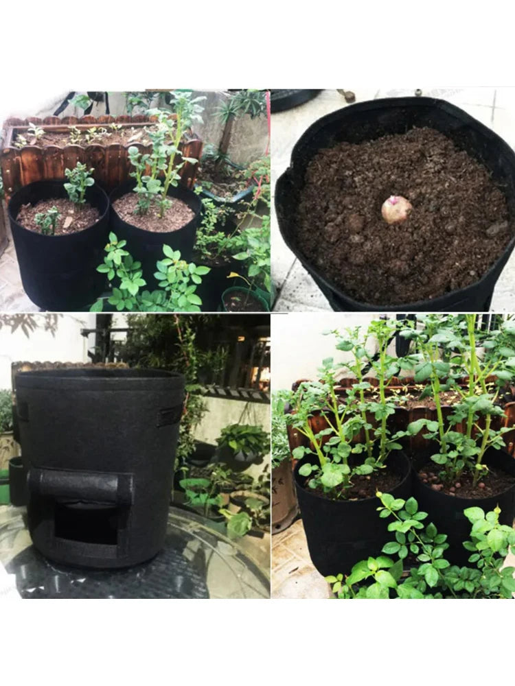 Fabric Plant Pots Grow Bags 5 7 10 Gallon Vegetable Planters