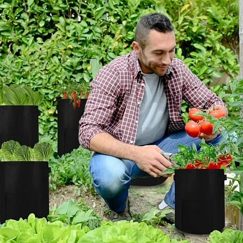 Fabric Plant Pots Grow Bags 5 7 10 Gallon Vegetable Planters