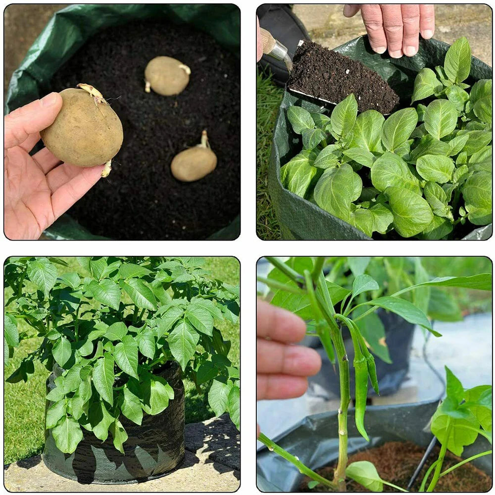 12 Gallons DIY Potato Planter Container Bag for Gardening