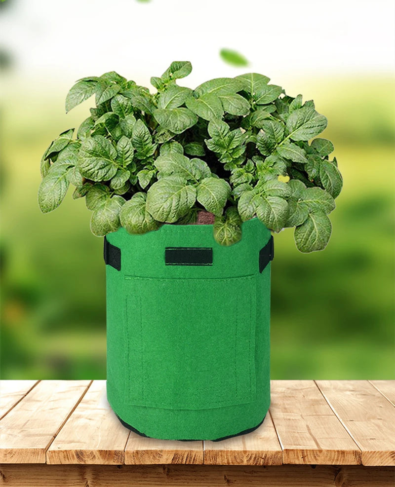3 Size Felt Plant Grow Bags Nonwoven Fabric Vegetable Pots