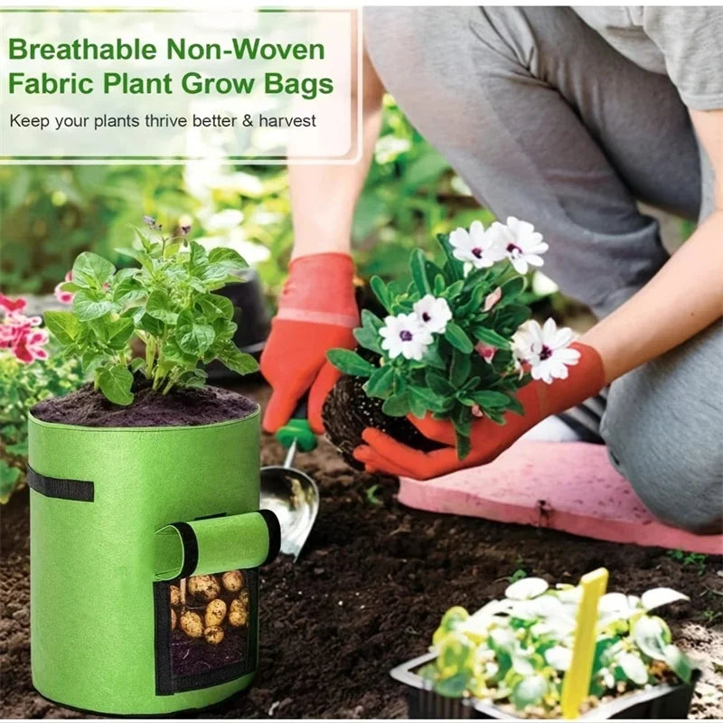 Fabric Plant Pots Grow Bags 5 7 10 Gallon Vegetable Planters