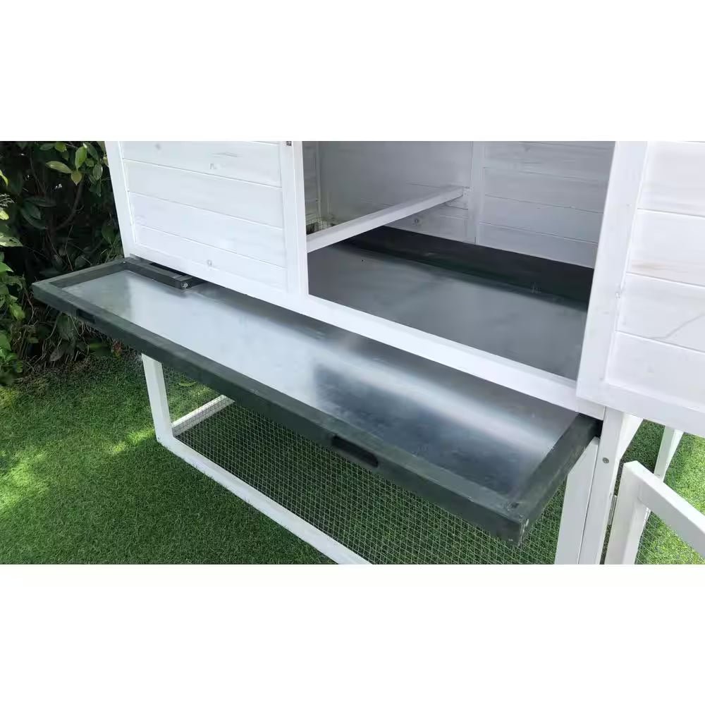 Elevated Wooden Chicken Coop for 1 to 3 Chickens - Inside The Bars