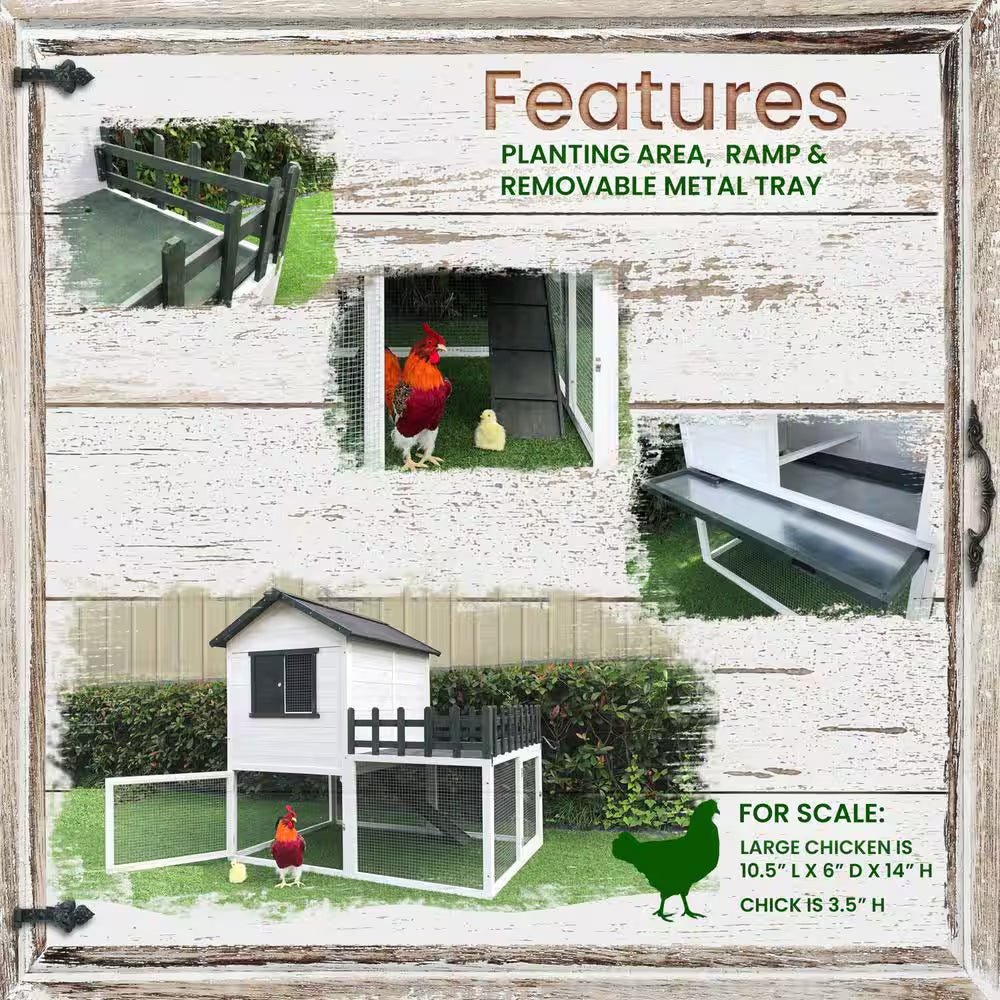Elevated Wooden Chicken Coop for 1 to 3 Chickens - Inside The Bars