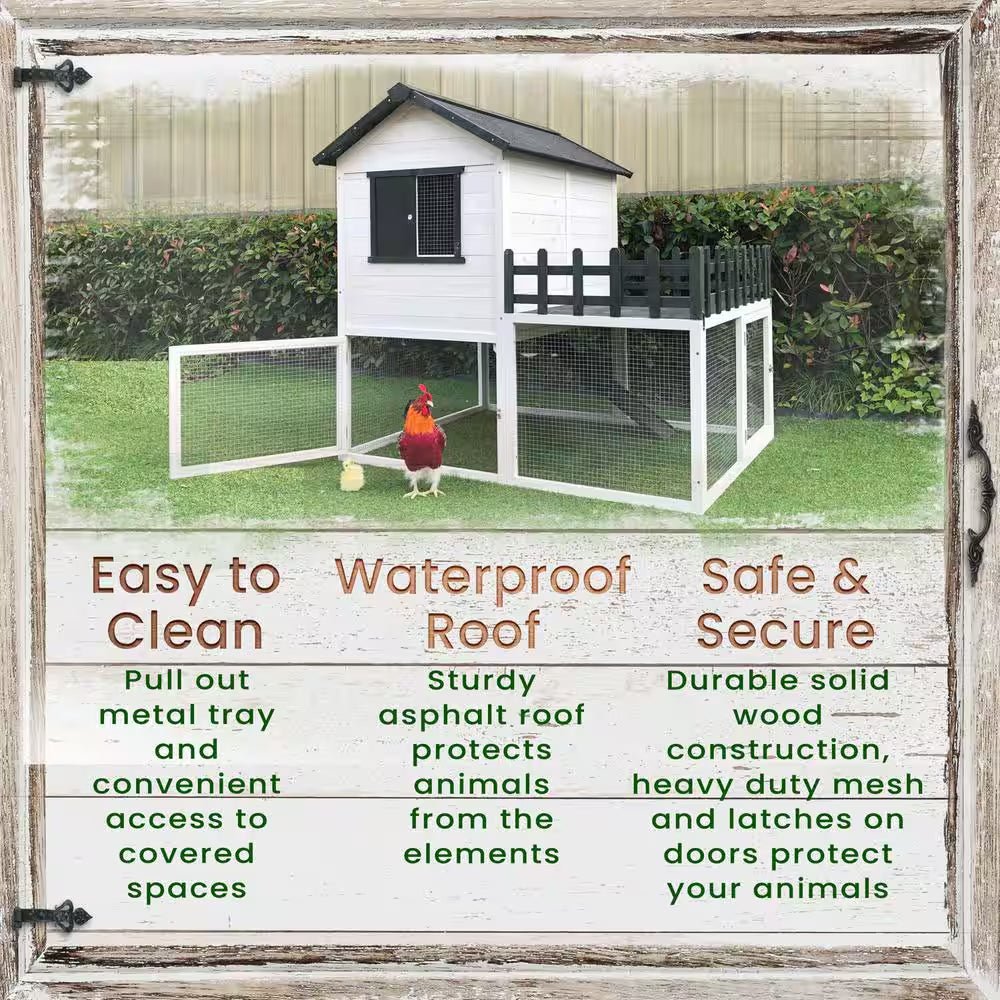 Elevated Wooden Chicken Coop for 1 to 3 Chickens - Inside The Bars