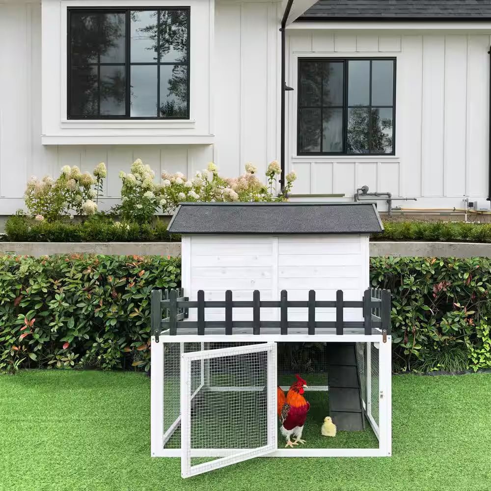 Elevated Wooden Chicken Coop for 1 to 3 Chickens - Inside The Bars