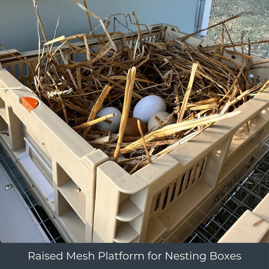 High - Quality Mobile Chicken Coop Chicken Tractor for 8 Chickens - Inside The Bars