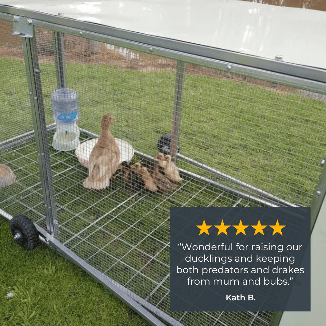 High - Quality Mobile Chicken Coop Chicken Tractor for 8 Chickens - Inside The Bars