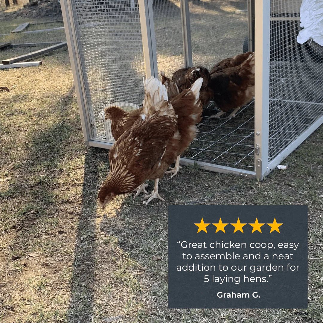 High - Quality Mobile Chicken Coop Chicken Tractor for 8 Chickens - Inside The Bars
