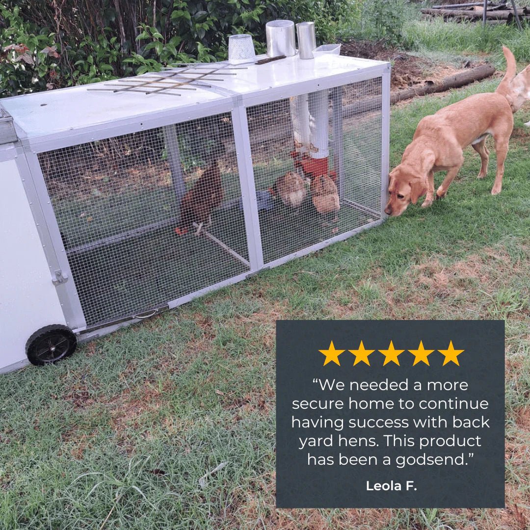High - Quality Mobile Chicken Coop Chicken Tractor for 8 Chickens - Inside The Bars