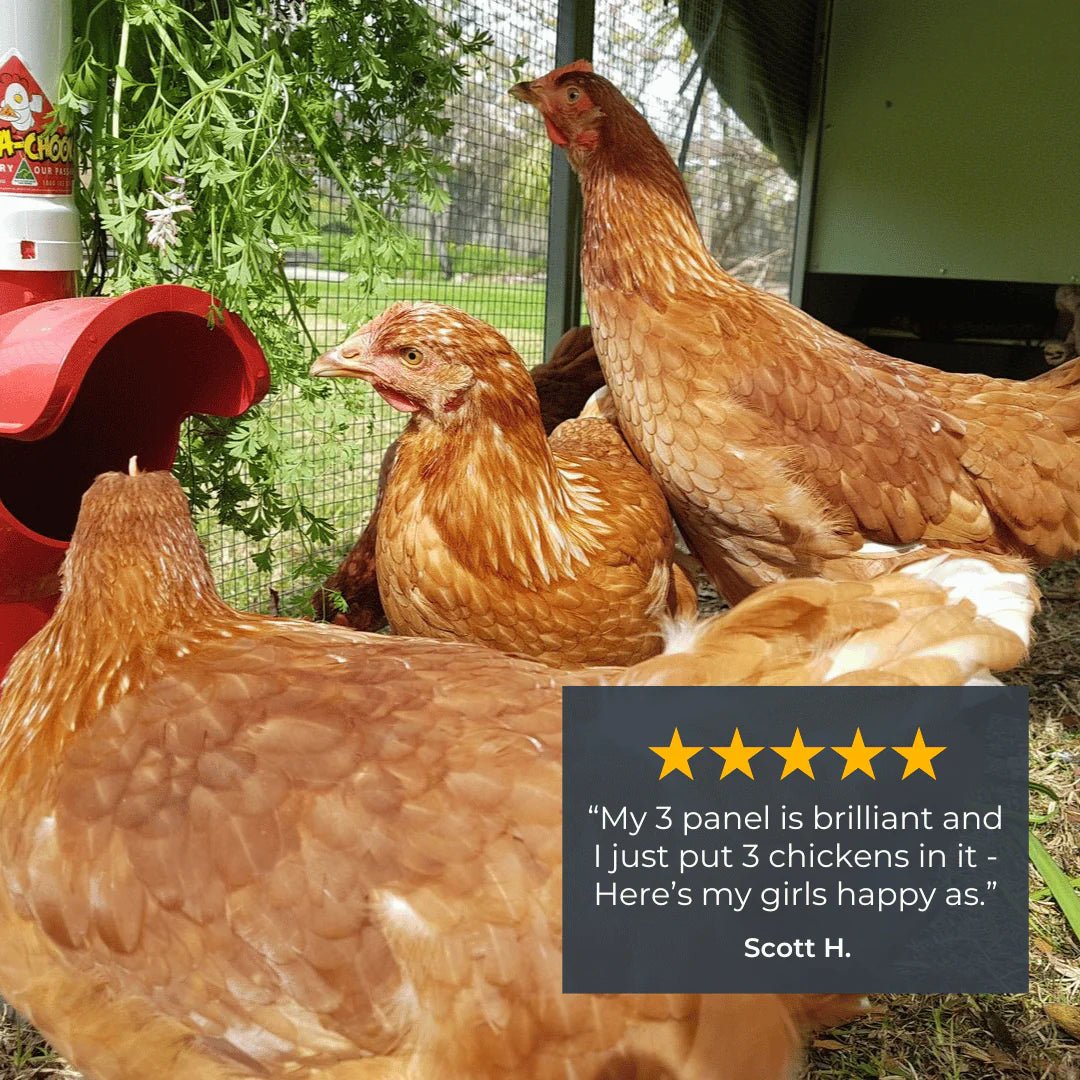 High - Quality Mobile Chicken Coop Chicken Tractor for 8 Chickens - Inside The Bars