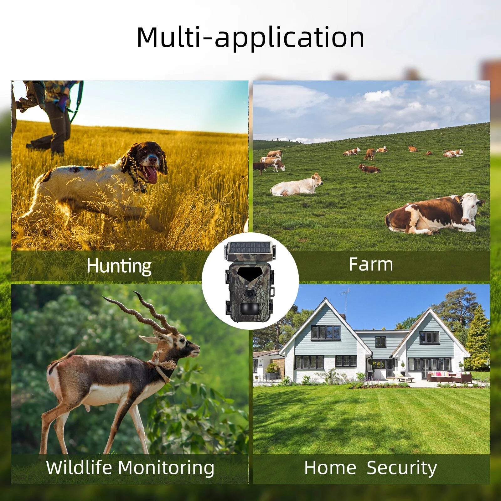 Solar Powered 3000Mah Battery Hunting Trail Monitor Camera - Inside The Bars
