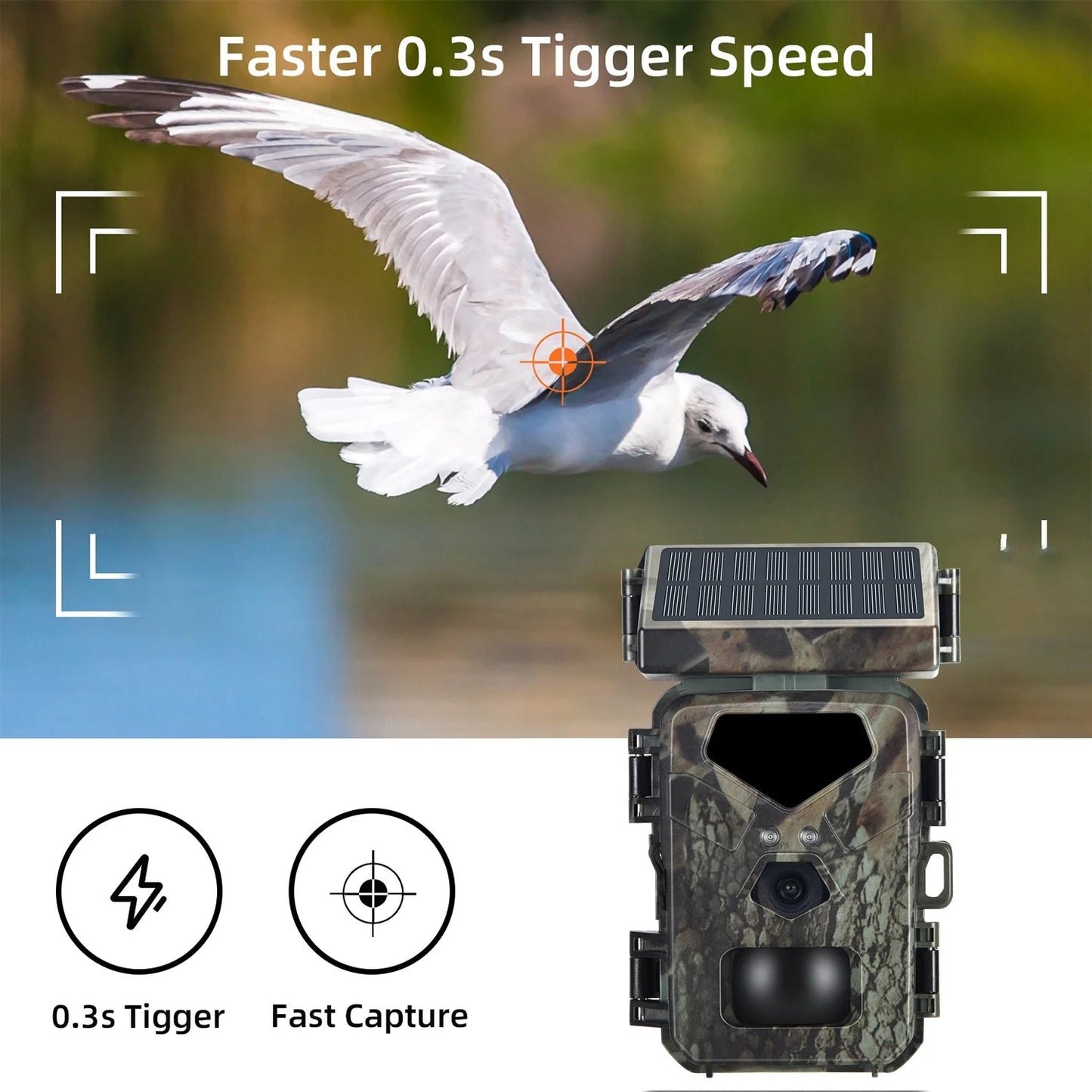 Solar Powered 3000Mah Battery Hunting Trail Monitor Camera - Inside The Bars