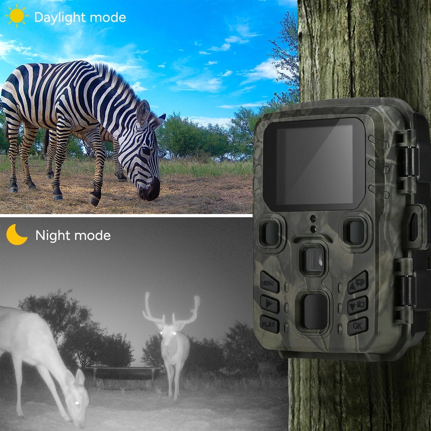 Trail Camera 2 Pack 24MP 1080P Mini Game Camera HD - Inside The Bars