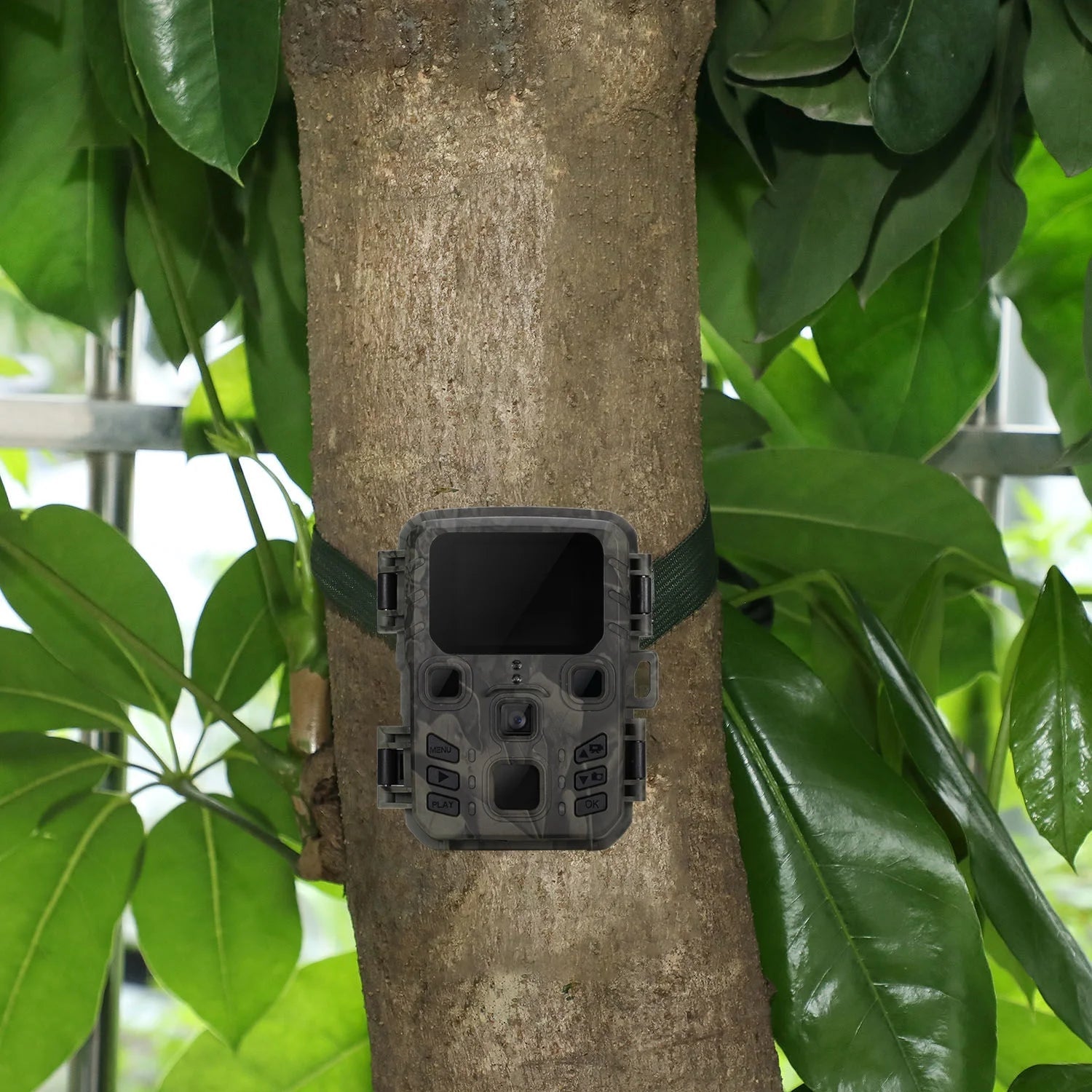 Trail Camera 2 Pack 24MP 1080P Mini Game Camera HD - Inside The Bars