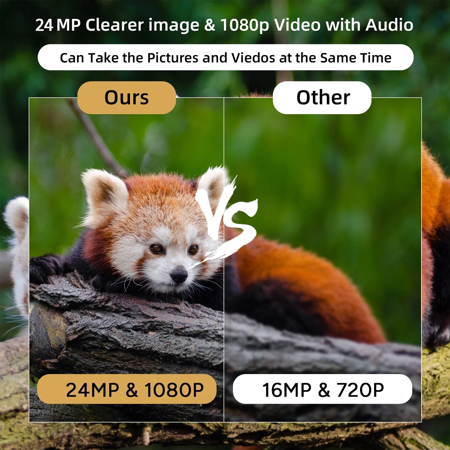 Trail Camera 2 Pack 24MP 1080P Mini Game Camera HD - Inside The Bars